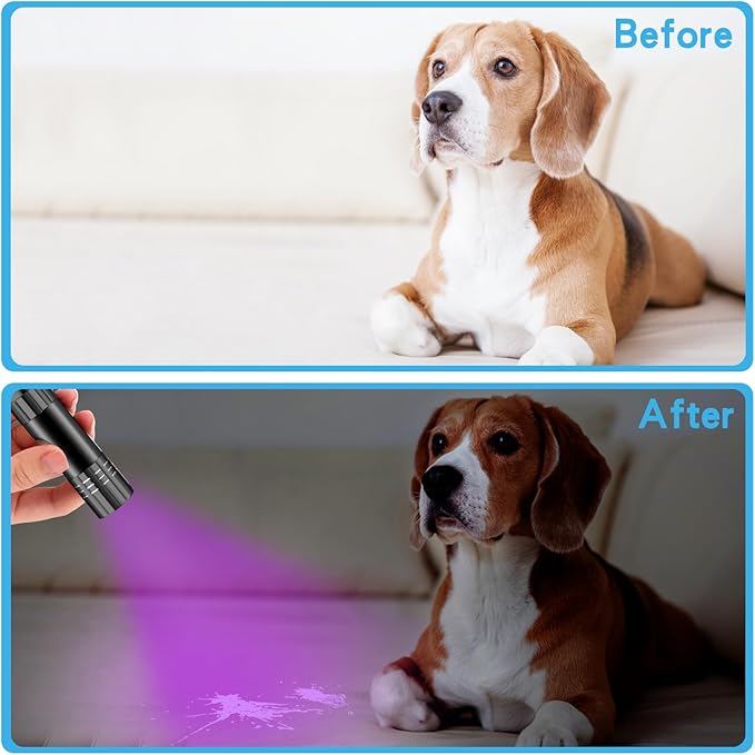 Riakrum 12 Pieces UV Blacklight Flashlights LED Handheld Mini Light Flashlight Small Portable