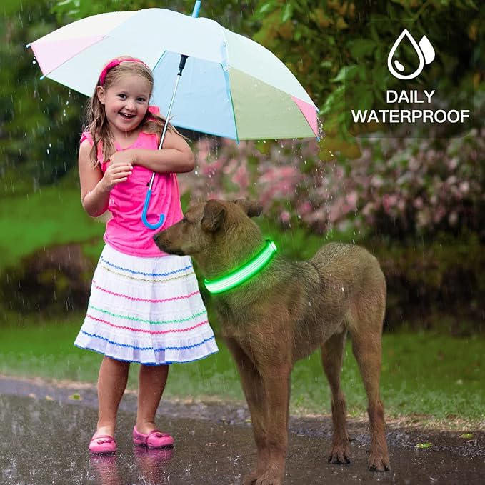 YFbrite Light up Dog Collar, USB Rechargeable LED Puppy Collar Super Bright Adjustable Glowing Dog
