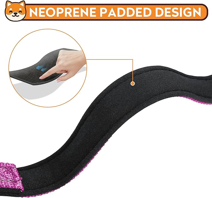 Reflective Dog Collar, Adjustable Soft Neoprene Padded Nylon Pet Collars with Buckle for Small