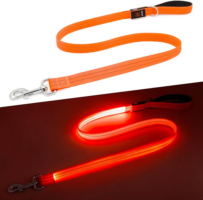 LED Dog Leash, 4 Ft Light Up, USB Rechargeable, Waterproof, Nylon Reflective with Padded Handle