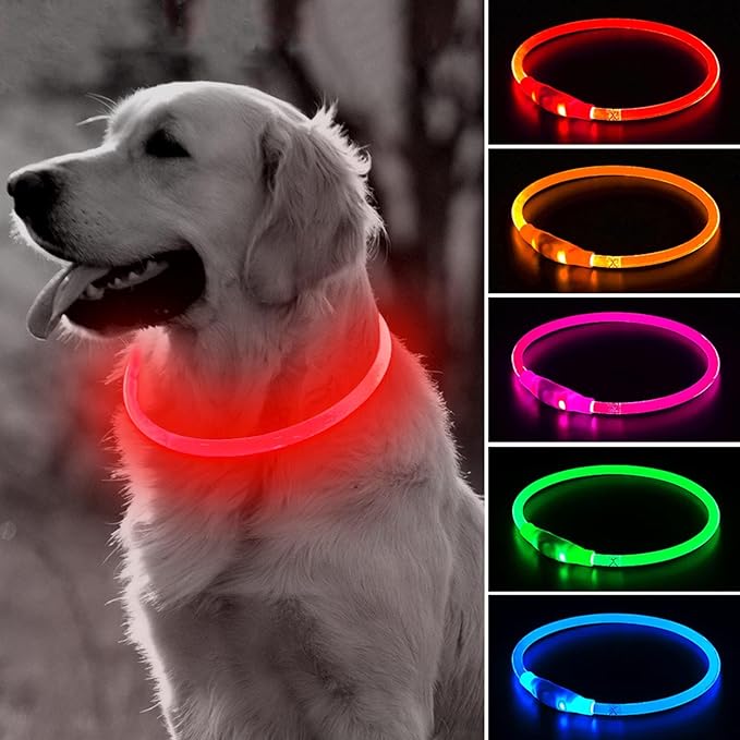 BSEEN Light Up Dog Collar - Rechargeable LED Dog Collar - 360° Glow in The Dark Pet Collar for