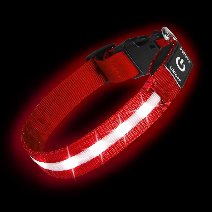 Super Bright LED Dog Collar - Fully Waterproof & Adjustable Glow Collar - USB-C Rechargeable for