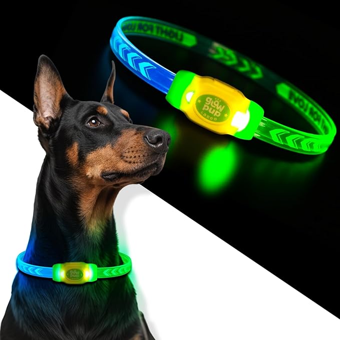 LaRoo LED Light Up Dog Collar, Type-C Rechargeable, Multi-Color Glowing Safety Pet Collar, Cuttable