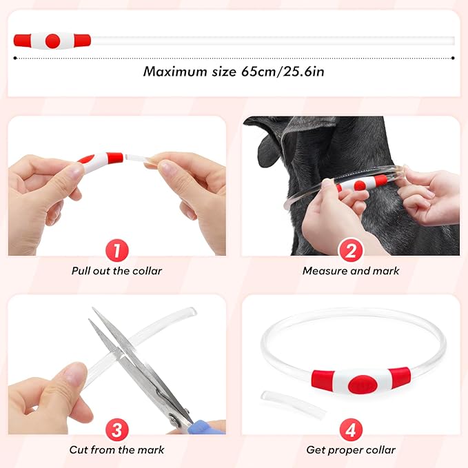 BSEEN Light Up Dog Collar - Rechargeable LED Dog Collar - 360° Glow in The Dark Pet Collar for