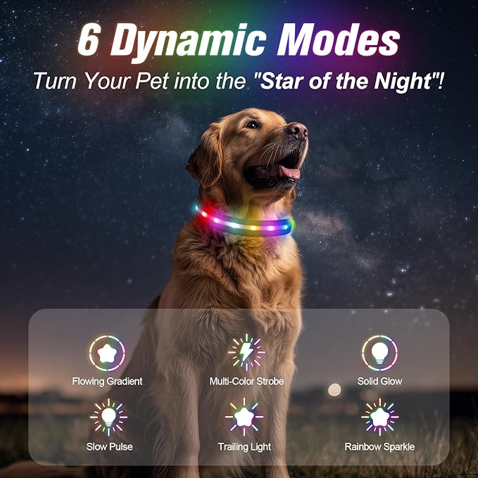 LED Dog Collar, Light Up Dog Collar, USB Rechargeable - Brightest Dog Lights for Night Walking, 6