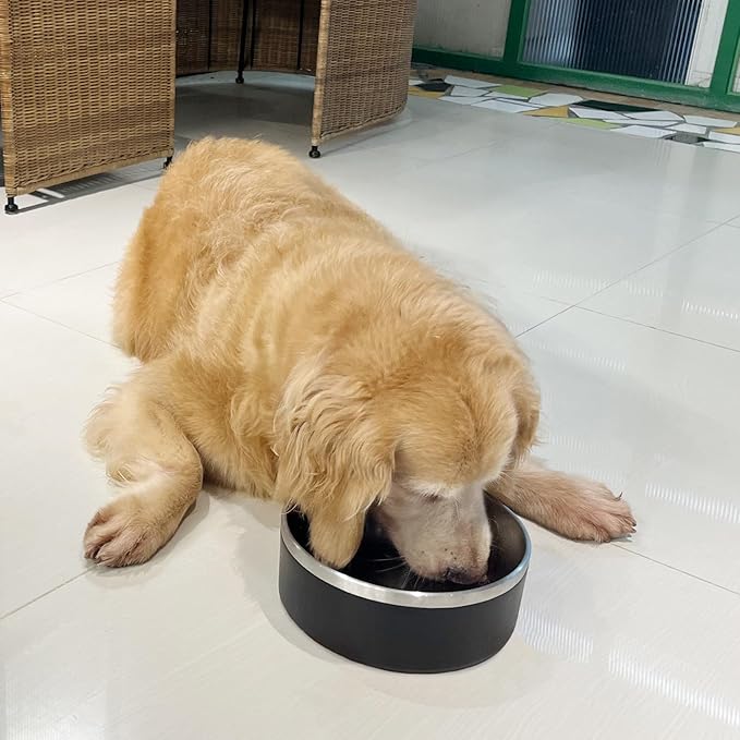 Stainless Steel Dog Bowl, Metal Water and Food Dish for Large Dogs, Insulated Non-Slip Pet Bowl