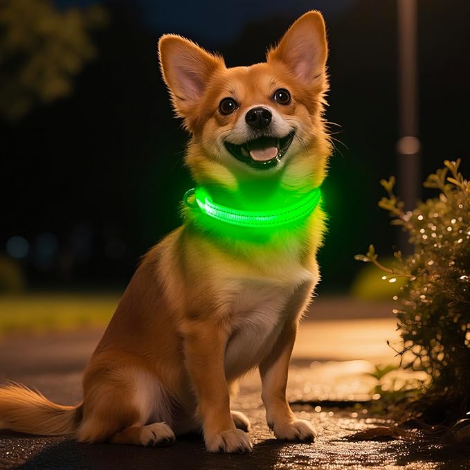 Light Up Dog Collar for Small Dogs - Rechargeable Puppy Collars Glow in The Dark LED Dog Collar