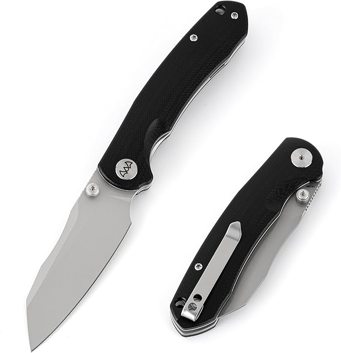 Folding Pocket Knife, 3.35" 14C28N Blade G10 Handle EDC Knife with Liner Lock, Small Pocket Knife