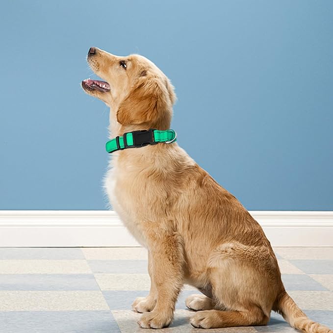 Reflective Dog Collar, Adjustable Soft Neoprene Padded Nylon Pet Collars with Buckle for Puppy and