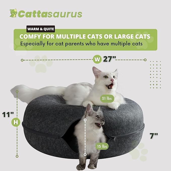 Cattasaurus Peekaboo Cat Cave, Extra Spacious for Multiple & Large Cats 12+ lbs, Scratch Detachable