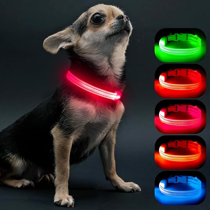 Visinite Light Up Dog Collars for Small Dogs,LED Dog Collar Light Rechargeable,Fully Adjustable