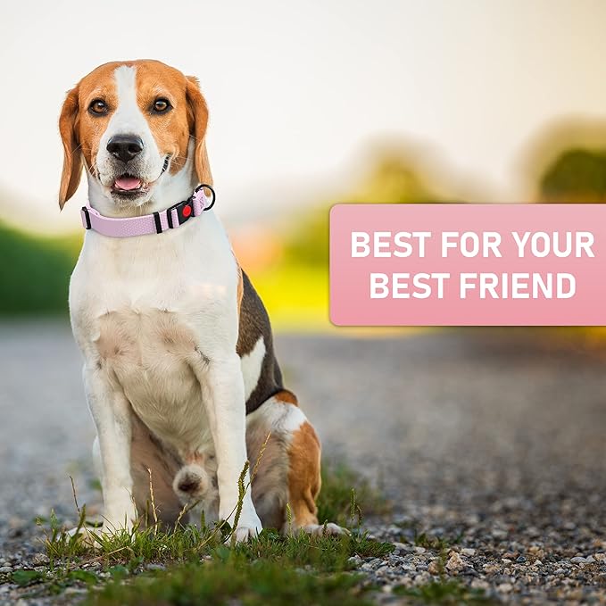 Adjustable Dog Collar with QR Code Dog Tag ID Attached - Made in USA - Honeycomb Waterproof Heavy