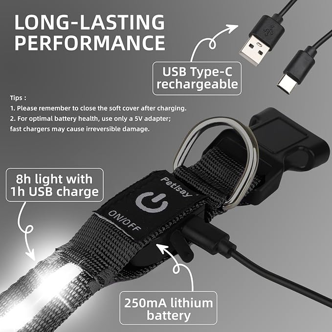 Super Bright LED Dog Collar - Fully Waterproof & Adjustable Glow Collar - USB-C Rechargeable for