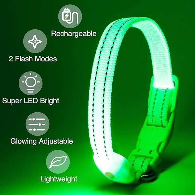 LED Dog Collar - Light Up, Adjustable, Rechargeable, Waterproof, Glow in Dark for Small Pets (S