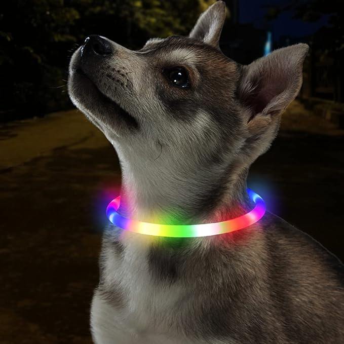 Light Up Dog Collar, Rechargeable Glowing Dog Collar, Light Dog Collar for Night Walking with 1640
