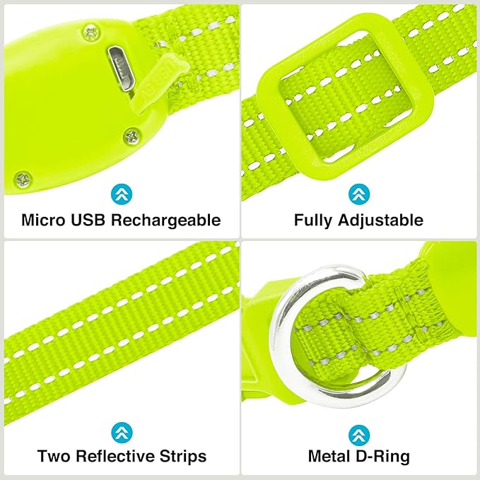 LED Dog Collar - Light Up, Adjustable, Rechargeable, Waterproof, Glow in Dark for Small Pets (S