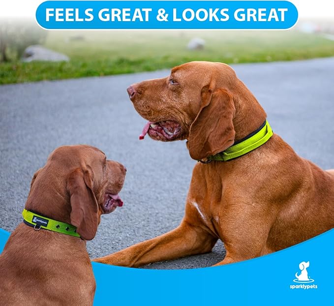 SparklyPets Heavy Duty Dog Collar with Handle for Medium and Large Dogs ??Professional Collar with