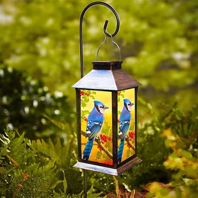 Solar Lanterns Outdoor Hanging Blue Jay Solar Lights Decorative for Garden Patio Porch and Tabletop
