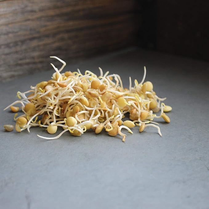 Organic Dried Green Lentil Sprouting Seed: 8 Oz - Dry Lentils for Planting Garden Seeds, Soup