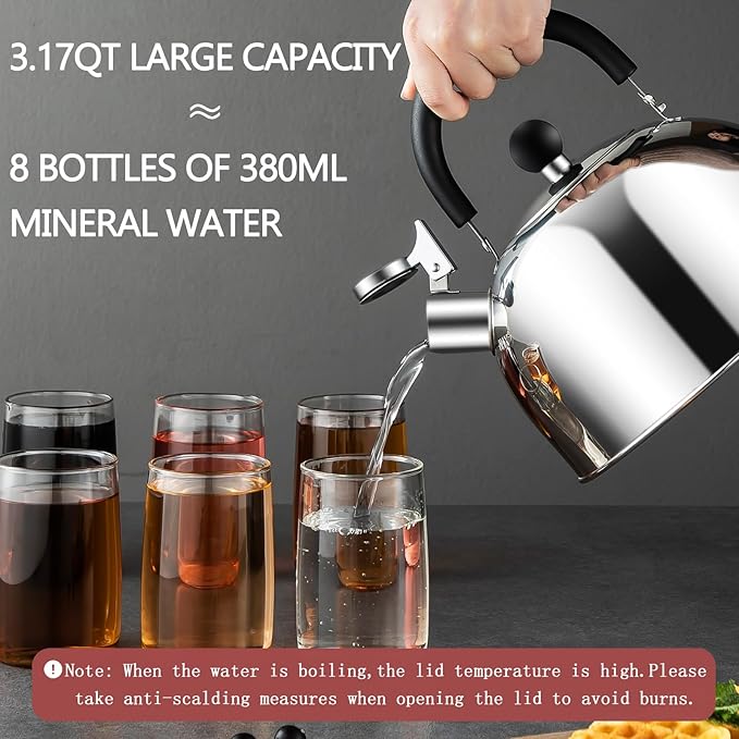 304 Stainless Steel Whistling Tea Kettle 3.17 Quart/3L Tea Pot, Suitable to Boiling Water & Tea on