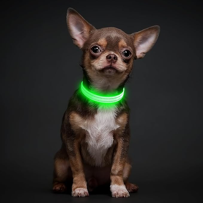 illumifun LED Dog Collar for Puppy, USB Rechargeable Light Up Collar, Lightweight Nylon Glowing Dog