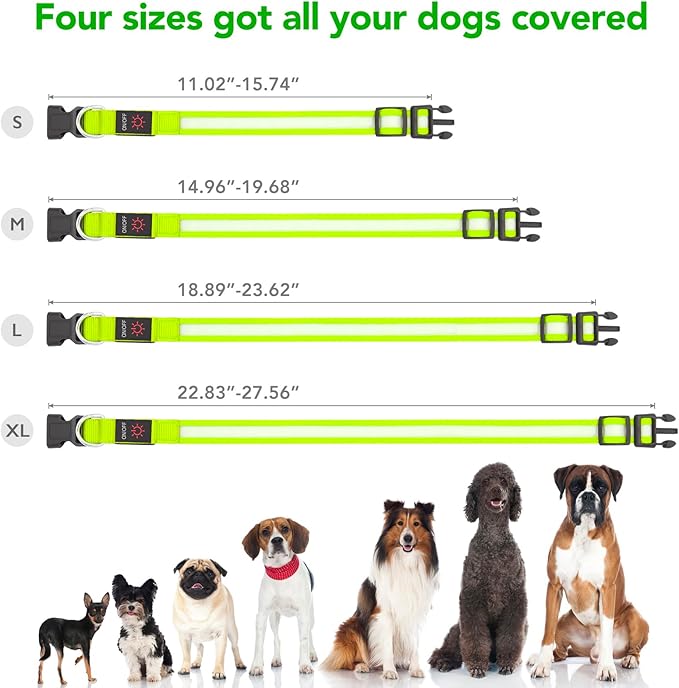 Vizpet LED Dog Collar, Light Up Dog Collar Adjustable USB Rechargeable Super Bright Safety Light