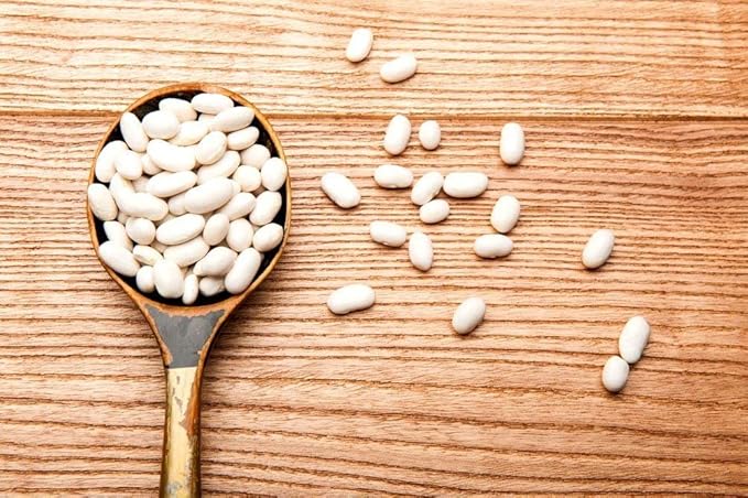 Food to Live Organic Cannellini Beans, 15 Pounds ??Non-GMO, Dried White Kidney Beans, Sproutable
