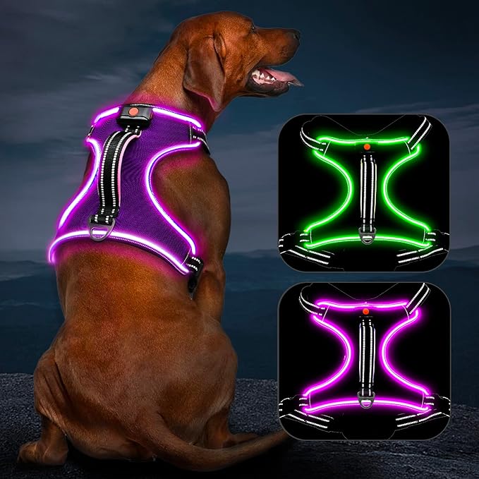 Light Up Dog Harness, No Pull LED Dog Harness with Handle, Rechargeable Lighted Safety Vest for