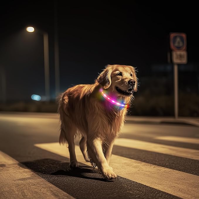LED Dog Collar, Light Up Dog Collar, USB Rechargeable - Brightest Dog Lights for Night Walking, 6