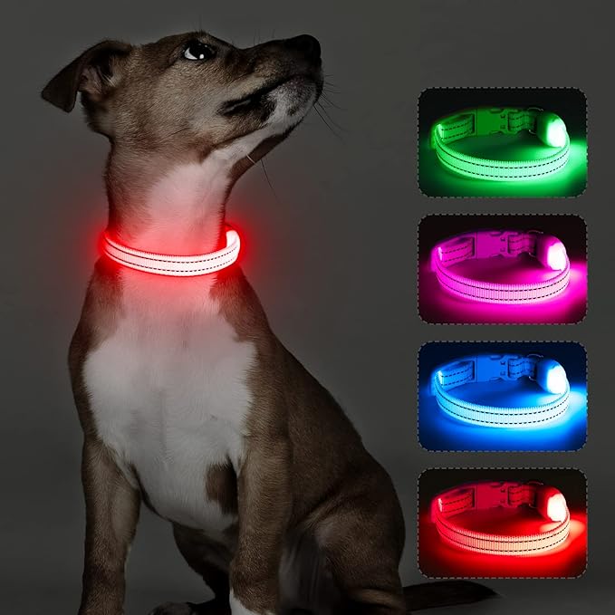Light Up Dog Collar for Small Dogs - Rechargeable Puppy LED Collar Glowing Dog Lights for Night