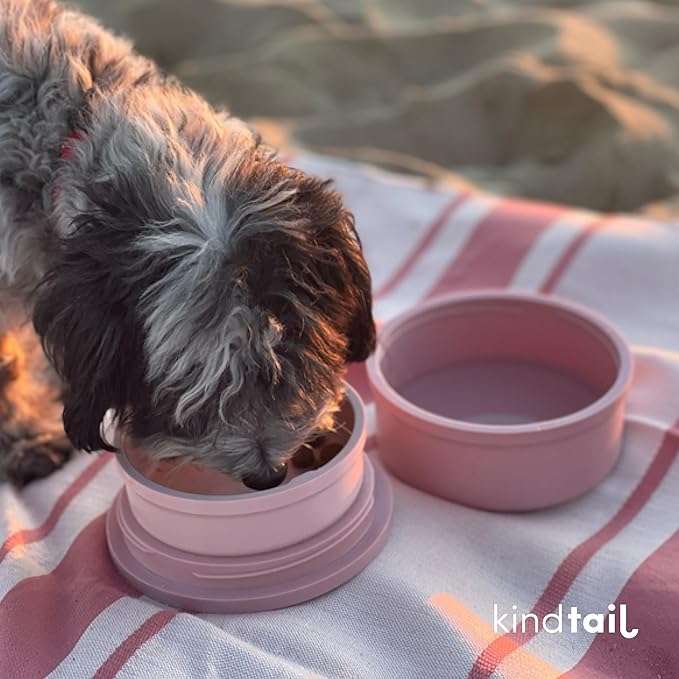 KindTail Dog Travel Bowls - Set of 2 Portable Pet Food & Water Dishes with Lid & Handle - Each