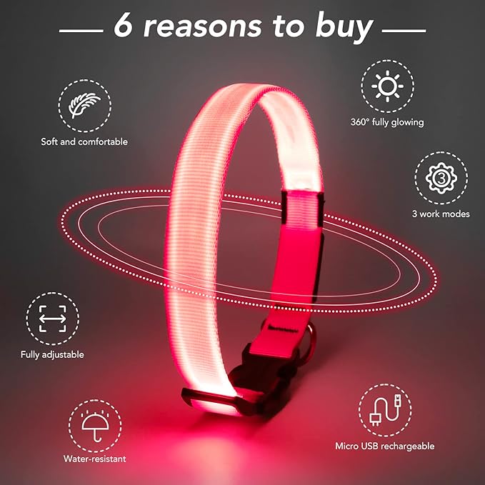 Light Up Collar, Led Dog Collar Adjustable, Rechargeable Waterproof, Night Walking Lights, Glow in