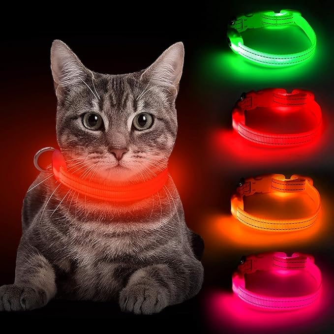 BSEEN Light Up Dog Collar, Reflective LED Dog Collar Rechargeable Glowing Puppy Collars for Small
