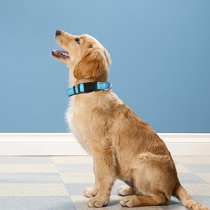 Reflective Dog Collar, Adjustable Soft Neoprene Padded Nylon Pet Collars with Buckle for Large