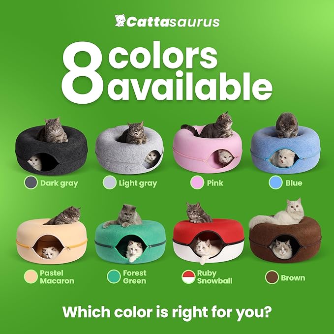 Cattasaurus Peekaboo Cat Cave, Extra Spacious for Multiple & Large Cats 12+ lbs, Scratch Detachable