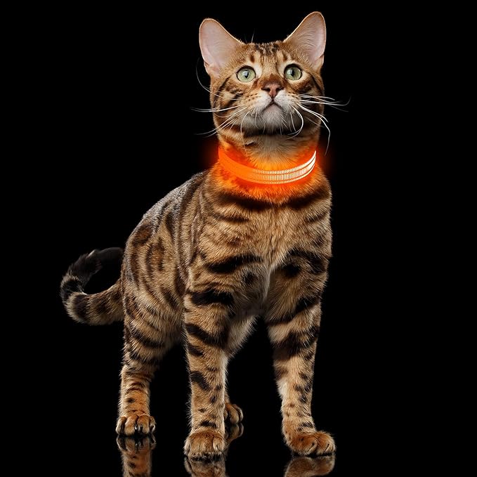 Illumifun Light Up Dog Collar for Small Dogs Cats, Rechargeable LED Dog Collar Glow at Night