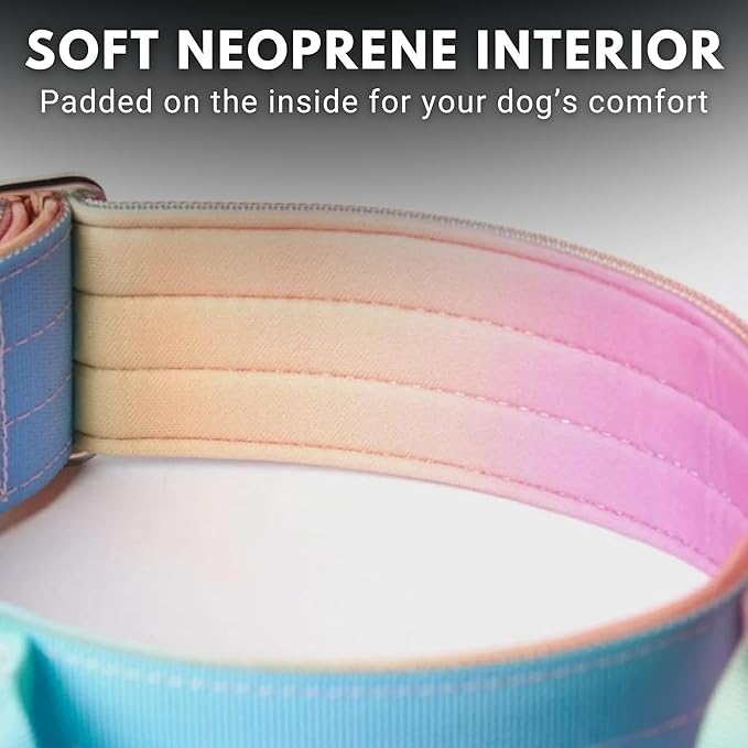 Spark Paws Tactical Dog Collar with Handle - Premium Quality Collar, Robust and Durable Design for