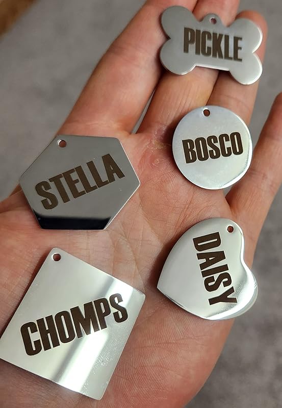 Dr. Fremont's Stainless Steel ID Dog Tags Engraved for Pets Personalized for Cat or Dog Collar Bold