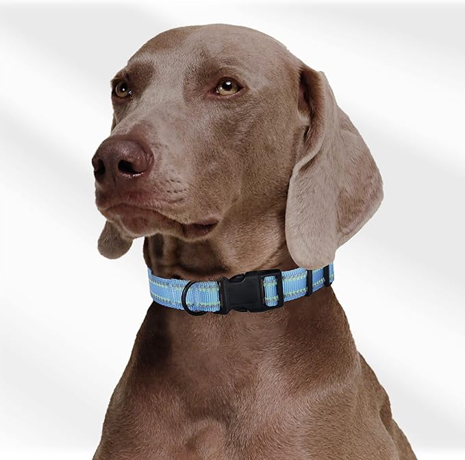 Mile High Life Reflective Dog Collar, Basic Dog Collars Adjustable Quick Release, Soft Nylon Pet