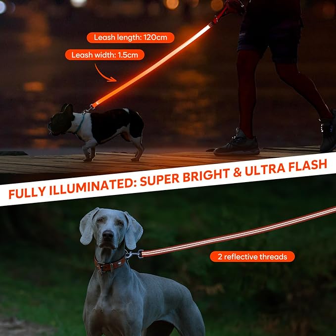 LED Dog Leash, 4 Ft Light Up, USB Rechargeable, Waterproof, Nylon Reflective with Padded Handle