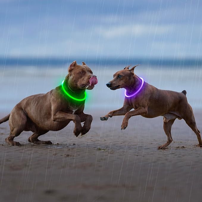HIGO Light Up Dog Collar, LED Dog Collar for Night Safety with 3 Modes, Type-C Rechargeable &