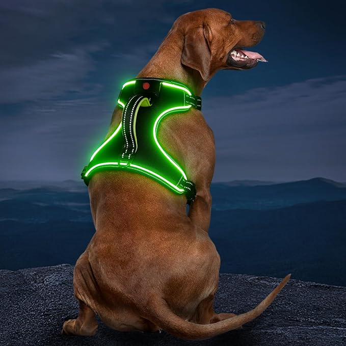 Light Up Dog Harness, No Pull LED Dog Harness with Handle, Rechargeable Lighted Safety Vest for