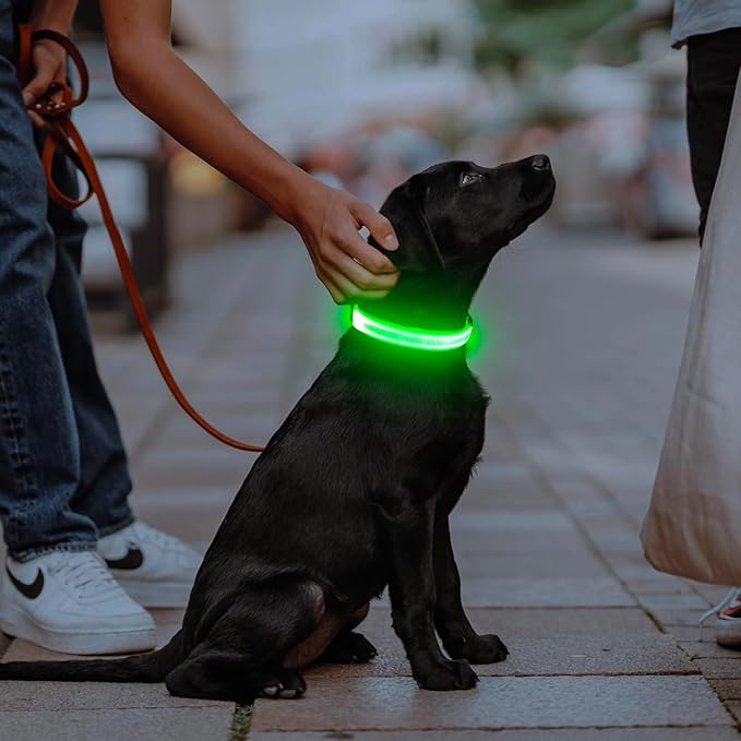 Illumifun LED Collar for Small Dogs, USB Rechargeable Light Up Dog Collar, Flashing Pet Safety