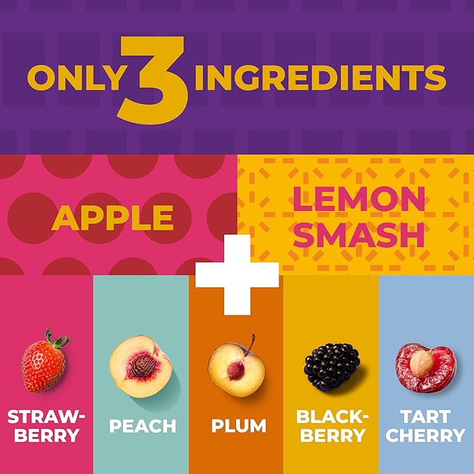 Fruit Snacks by Zest Delites, Fruit Leather Bars, Healthy Snacks for Adults & Kids, Vegan