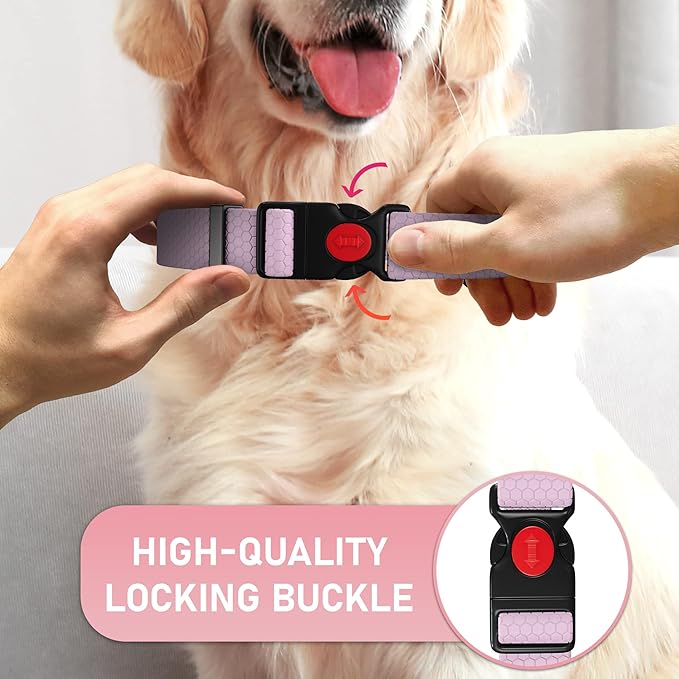 Adjustable Dog Collar with QR Code Dog Tag ID Attached - Made in USA - Honeycomb Waterproof Heavy