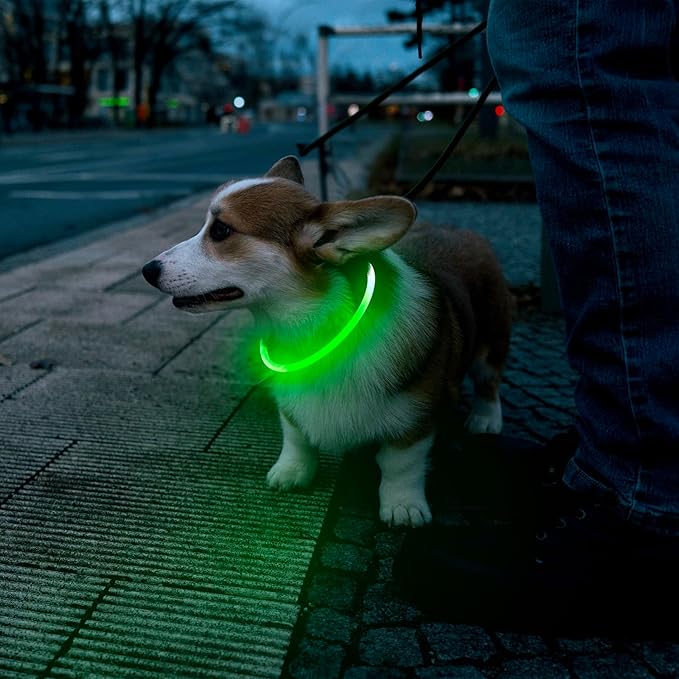 Flashseen LED Dog Collar, USB Rechargeable Glowing Lighted Up Collar, Cuttable Water-Resistant TPU