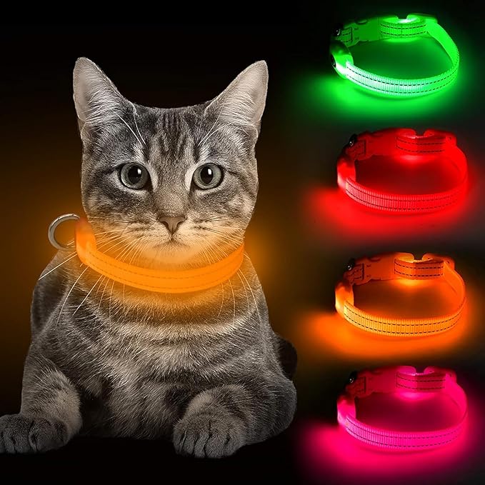 BSEEN Light Up Dog Collar, Reflective LED Dog Collar Rechargeable Glowing Puppy Collar for Puppies
