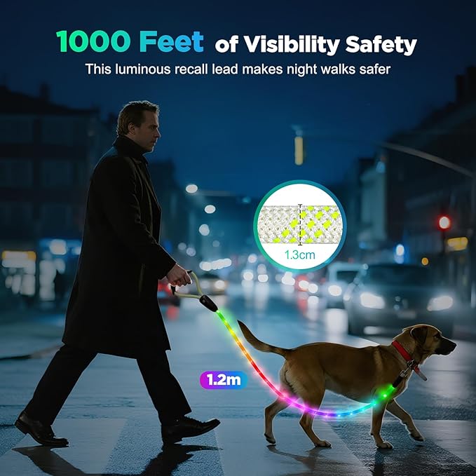 BSEEN Light Up Dog Leash - LED Dog Leash Type-C Rechargeable, 13 Lighting Modes, Glow in The Dark