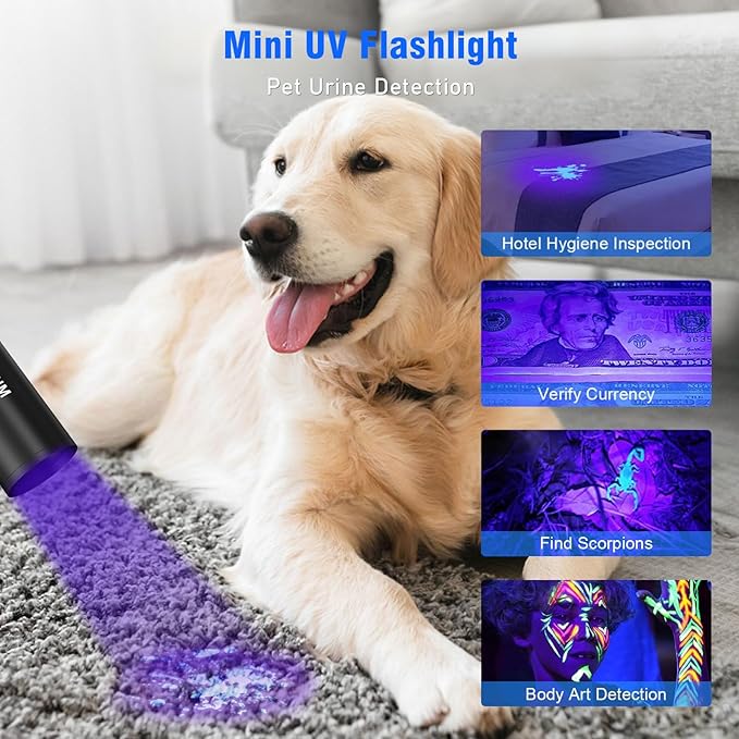 Goreit Flashlights LED High Lumens Rechargeable, 2000 Lumens XHM77.2 Super Bright Flash Light USB