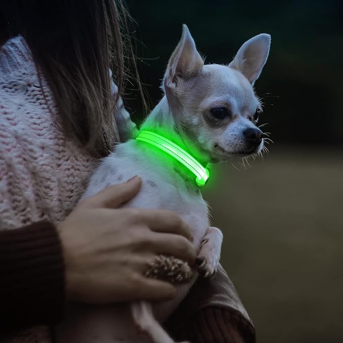 Visinite Light Up Dog Collars for Small Dogs,LED Dog Collar Light Rechargeable,Fully Adjustable